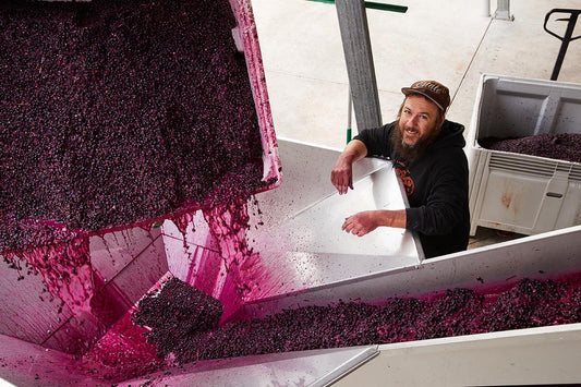 Explore 6 Italian Grape Varietals Grown in Australia: A Journey of Flavours