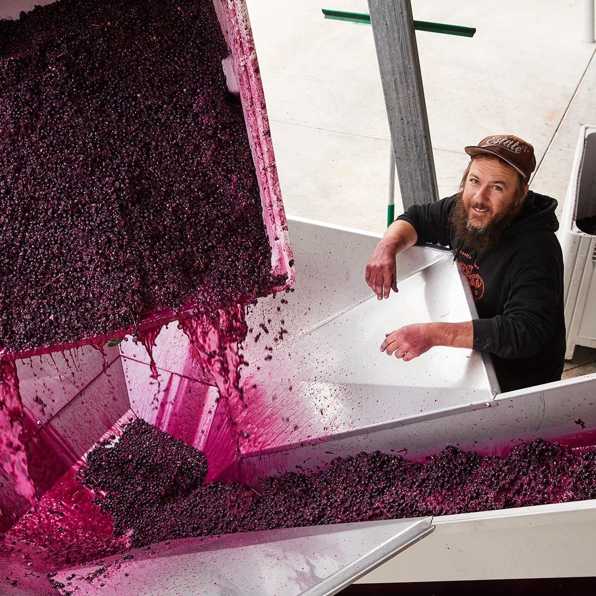 Hadyn processing Lambrusco