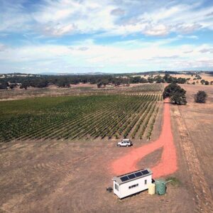 A view from behind the tiny house across the vineyard at Hounds Run