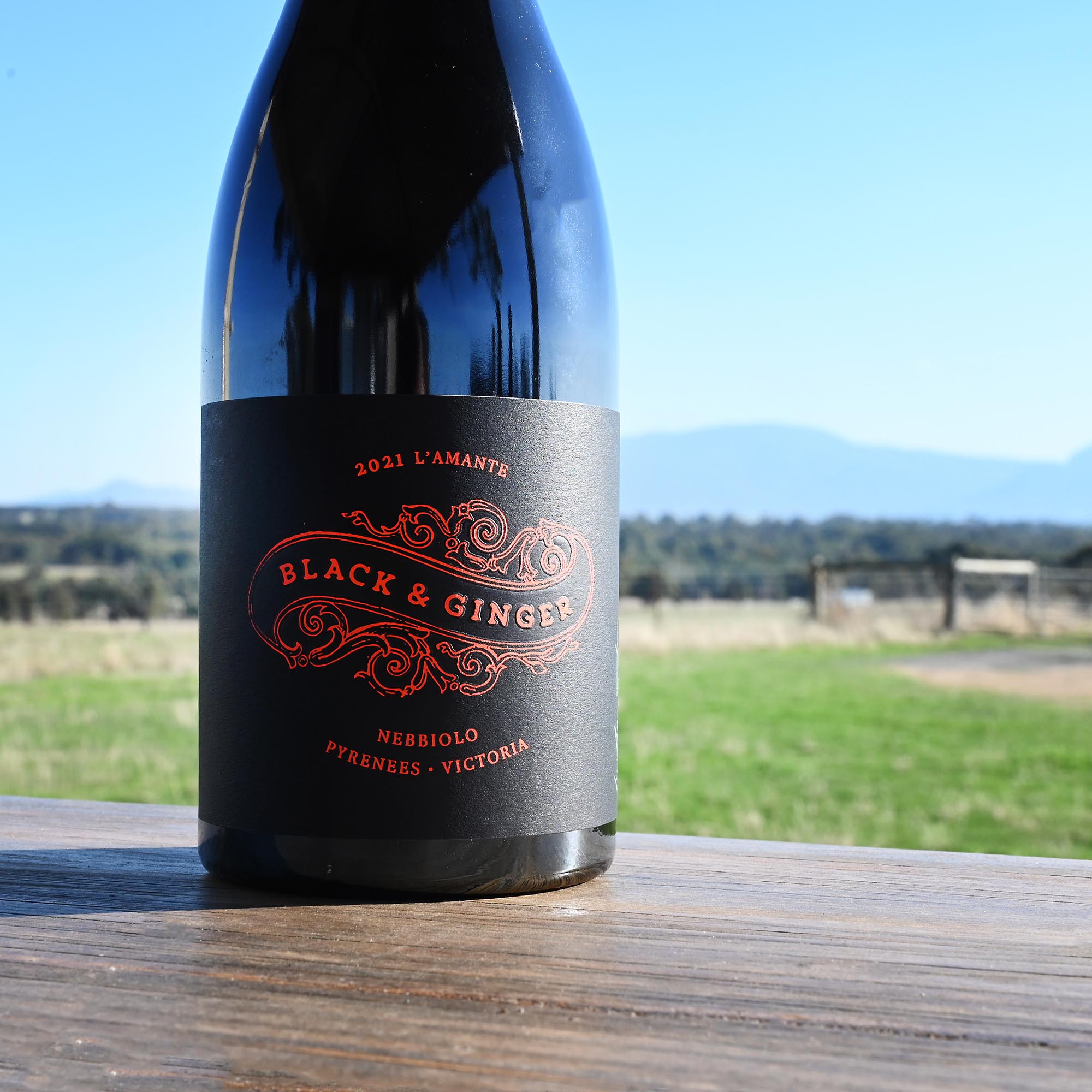 Blacky's Bottles: Nebbiolo Showdown